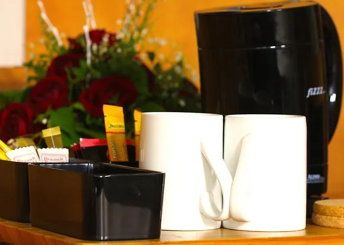 弗洛科酒店 酒店